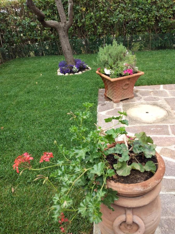 Lavanda & Rosmarino Castiglione della Pescaia